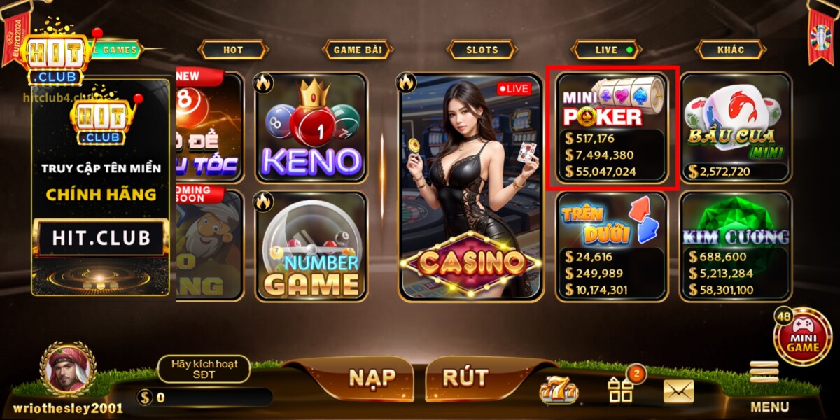 Overview of mini poker
